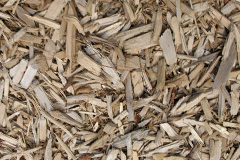 biomass boilers Woodcot